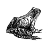 james154632 profile image